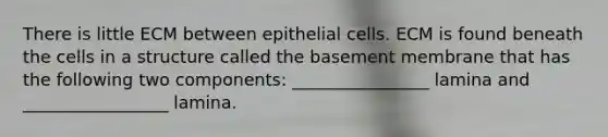 There is little ECM between epithelial cells. ECM is found beneath the cells in a structure called the basement membrane that has the following two components: ________________ lamina and _________________ lamina.