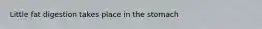 Little fat digestion takes place in the stomach
