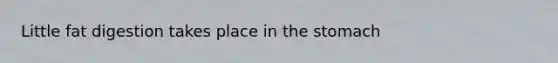 Little fat digestion takes place in the stomach