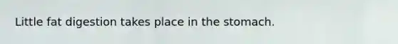 Little fat digestion takes place in the stomach.