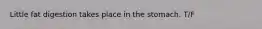 Little fat digestion takes place in the stomach. T/F