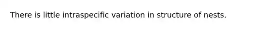 There is little intraspecific variation in structure of nests.