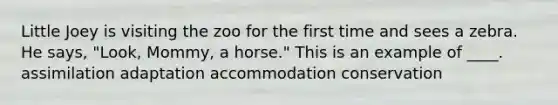 Little Joey is visiting the zoo for the first time and sees a zebra. He says, "Look, Mommy, a horse." This is an example of ____. assimilation adaptation accommodation conservation