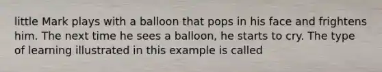 little Mark plays with a balloon that pops in his face and frightens him. The next time he sees a balloon, he starts to cry. The type of learning illustrated in this example is called