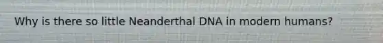 Why is there so little Neanderthal DNA in modern humans?