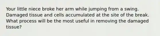 Your little niece broke her arm while jumping from a swing. Damaged tissue and cells accumulated at the site of the break. What process will be the most useful in removing the damaged tissue?