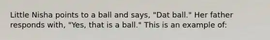 Little Nisha points to a ball and says, "Dat ball." Her father responds with, "Yes, that is a ball." This is an example of: