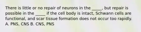 There is little or no repair of neurons in the _____, but repair is possible in the _____ if the cell body is intact, Schwann cells are functional, and scar tissue formation does not occur too rapidly. A. PNS, CNS B. CNS, PNS