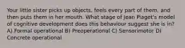 Your little sister picks up objects, feels every part of them, and then puts them in her mouth. What stage of Jean Piaget's model of cognitive development does this behaviour suggest she is in? A) Formal operational B) Preoperational C) Sensorimotor D) Concrete operational