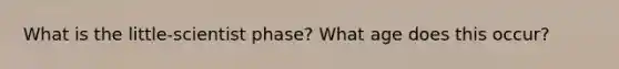 What is the little-scientist phase? What age does this occur?