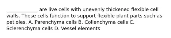 _____________ are live cells with unevenly thickened flexible cell walls. These cells function to support flexible plant parts such as petioles. A. Parenchyma cells B. Collenchyma cells C. Sclerenchyma cells D. Vessel elements