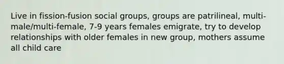 Live in fission-fusion <a href='https://www.questionai.com/knowledge/ktC4lbKwl5-social-groups' class='anchor-knowledge'>social groups</a>, groups are patrilineal, multi-male/multi-female, 7-9 years females emigrate, try to develop relationships with older females in new group, mothers assume all child care