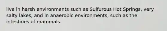 live in harsh environments such as Sulfurous Hot Springs, very salty lakes, and in anaerobic environments, such as the intestines of mammals.