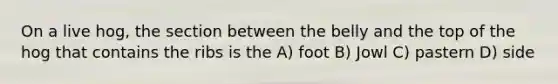 On a live hog, the section between the belly and the top of the hog that contains the ribs is the A) foot B) Jowl C) pastern D) side