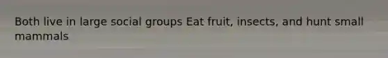 Both live in large social groups Eat fruit, insects, and hunt small mammals