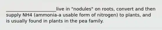 ______________________live in "nodules" on roots, convert and then supply NH4 (ammonia-a usable form of nitrogen) to plants, and is usually found in plants in the pea family.