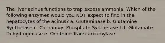 The liver acinus functions to trap excess ammonia. Which of the following enzymes would you NOT expect to find in the hepatocytes of the acinus? a. Glutaminase b. Glutamine Synthetase c. Carbamoyl Phosphate Synthetase I d. Glutamate Dehydrogenase e. Ornithine Transcarbamylase