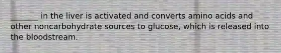 _______ in the liver is activated and converts amino acids and other noncarbohydrate sources to glucose, which is released into the bloodstream.