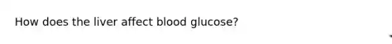 How does the liver affect blood glucose?