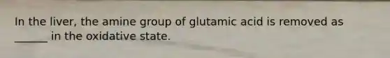 In the liver, the amine group of glutamic acid is removed as ______ in the oxidative state.