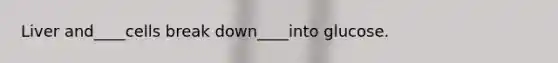 Liver and____cells break down____into glucose.