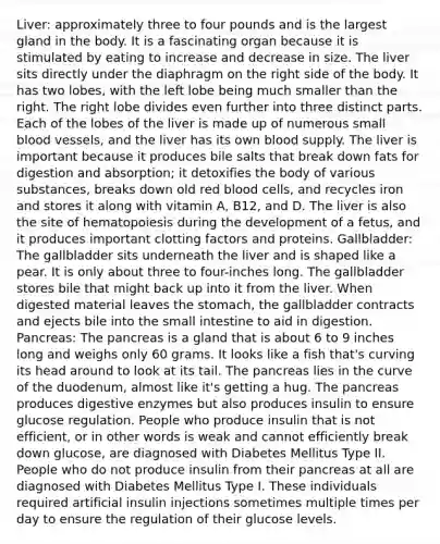 Liver: approximately three to four pounds and is the largest gland in the body. It is a fascinating organ because it is stimulated by eating to increase and decrease in size. The liver sits directly under the diaphragm on the right side of the body. It has two lobes, with the left lobe being much smaller than the right. The right lobe divides even further into three distinct parts. Each of the lobes of the liver is made up of numerous small <a href='https://www.questionai.com/knowledge/kZJ3mNKN7P-blood-vessels' class='anchor-knowledge'>blood vessels</a>, and the liver has its own blood supply. The liver is important because it produces bile salts that break down fats for digestion and absorption; it detoxifies the body of various substances, breaks down old red blood cells, and recycles iron and stores it along with vitamin A, B12, and D. The liver is also the site of hematopoiesis during the development of a fetus, and it produces important clotting factors and proteins. Gallbladder: The gallbladder sits underneath the liver and is shaped like a pear. It is only about three to four-inches long. The gallbladder stores bile that might back up into it from the liver. When digested material leaves <a href='https://www.questionai.com/knowledge/kLccSGjkt8-the-stomach' class='anchor-knowledge'>the stomach</a>, the gallbladder contracts and ejects bile into the small intestine to aid in digestion. Pancreas: The pancreas is a gland that is about 6 to 9 inches long and weighs only 60 grams. It looks like a fish that's curving its head around to look at its tail. The pancreas lies in the curve of the duodenum, almost like it's getting a hug. The pancreas produces <a href='https://www.questionai.com/knowledge/kK14poSlmL-digestive-enzymes' class='anchor-knowledge'>digestive enzymes</a> but also produces insulin to ensure glucose regulation. People who produce insulin that is not efficient, or in other words is weak and cannot efficiently break down glucose, are diagnosed with Diabetes Mellitus Type II. People who do not produce insulin from their pancreas at all are diagnosed with Diabetes Mellitus Type I. These individuals required artificial insulin injections sometimes multiple times per day to ensure the regulation of their glucose levels.