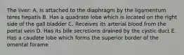 The liver: A. Is attached to the diaphragm by the ligamentum teres hepatis B. Has a quadrate lobe which is located on the right side of the gall bladder C. Receives its arterial blood from the portal vein D. Has its bile secretions drained by the cystic duct E. Has a caudate lobe which forms the superior border of the omental forame