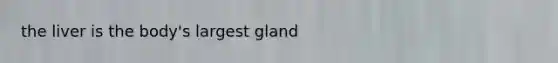 the liver is the body's largest gland