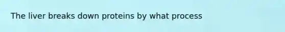 The liver breaks down proteins by what process