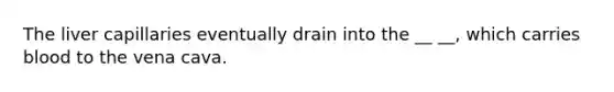 The liver capillaries eventually drain into the __ __, which carries blood to the vena cava.