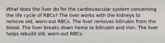 What does the liver do for the cardiovascular system concerning the life cycle of RBCs? The liver works with the kidneys to remove old, worn-out RBCs. The liver removes bilirubin from <a href='https://www.questionai.com/knowledge/k7oXMfj7lk-the-blood' class='anchor-knowledge'>the blood</a>. The liver breaks down heme to bilirubin and iron. The liver helps rebuild old, worn-out RBCs.