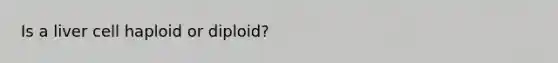 Is a liver cell haploid or diploid?