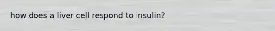 how does a liver cell respond to insulin?