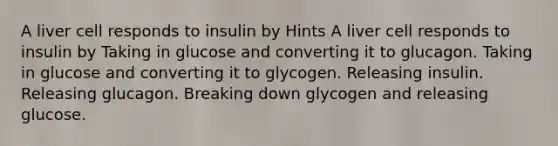 A liver cell responds to insulin by Hints A liver cell responds to insulin by Taking in glucose and converting it to glucagon. Taking in glucose and converting it to glycogen. Releasing insulin. Releasing glucagon. Breaking down glycogen and releasing glucose.