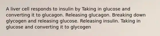 A liver cell responds to insulin by Taking in glucose and converting it to glucagon. Releasing glucagon. Breaking down glycogen and releasing glucose. Releasing insulin. Taking in glucose and converting it to glycogen