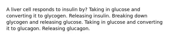 A liver cell responds to insulin by? Taking in glucose and converting it to glycogen. Releasing insulin. Breaking down glycogen and releasing glucose. Taking in glucose and converting it to glucagon. Releasing glucagon.