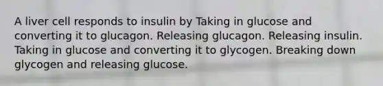 A liver cell responds to insulin by Taking in glucose and converting it to glucagon. Releasing glucagon. Releasing insulin. Taking in glucose and converting it to glycogen. Breaking down glycogen and releasing glucose.