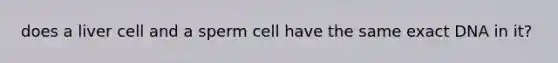 does a liver cell and a sperm cell have the same exact DNA in it?