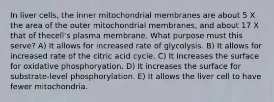 In liver cells, the inner mitochondrial membranes are about 5 X the area of the outer mitochondrial membranes, and about 17 X that of thecell's plasma membrane. What purpose must this serve? A) It allows for increased rate of glycolysis. B) It allows for increased rate of the citric acid cycle. C) It increases the surface for oxidative phosphoryation. D) It increases the surface for substrate-level phosphorylation. E) It allows the liver cell to have fewer mitochondria.