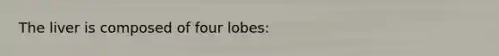 The liver is composed of four lobes: