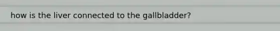 how is the liver connected to the gallbladder?