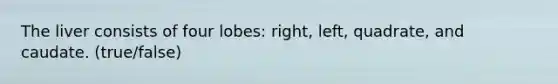 The liver consists of four lobes: right, left, quadrate, and caudate. (true/false)