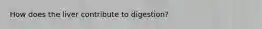 How does the liver contribute to digestion?