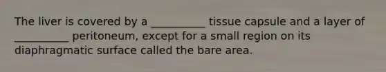 The liver is covered by a __________ tissue capsule and a layer of __________ peritoneum, except for a small region on its diaphragmatic surface called the bare area.