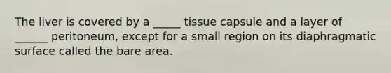 The liver is covered by a _____ tissue capsule and a layer of ______ peritoneum, except for a small region on its diaphragmatic surface called the bare area.