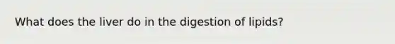 What does the liver do in the digestion of lipids?