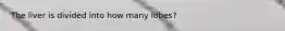 The liver is divided into how many lobes?