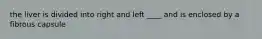 the liver is divided into right and left ____ and is enclosed by a fibrous capsule