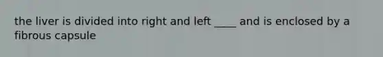 the liver is divided into right and left ____ and is enclosed by a fibrous capsule