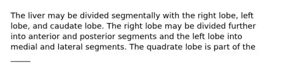 The liver may be divided segmentally with the right lobe, left lobe, and caudate lobe. The right lobe may be divided further into anterior and posterior segments and the left lobe into medial and lateral segments. The quadrate lobe is part of the _____